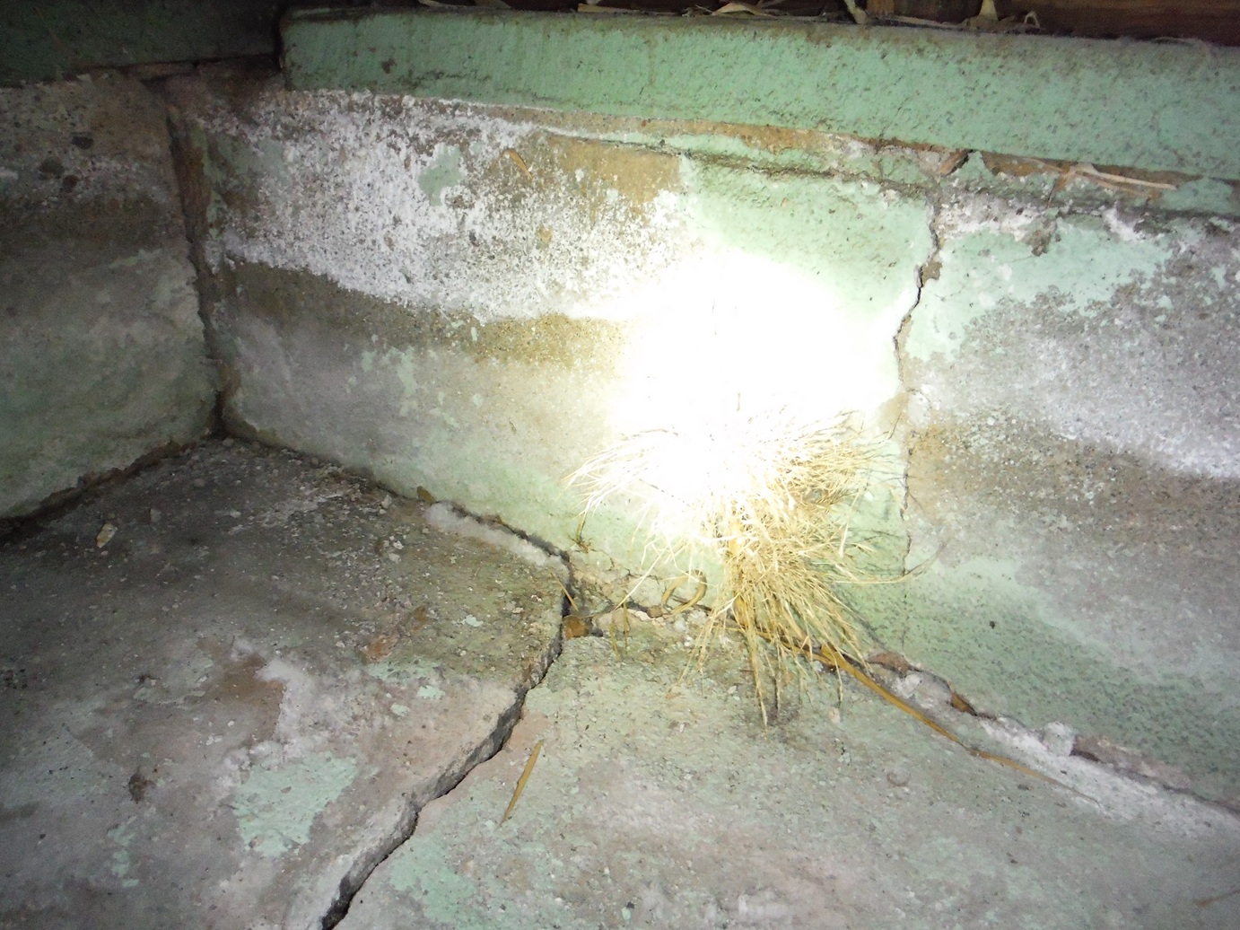 Foundation inspection photo